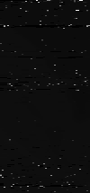 MTVZA-12.png